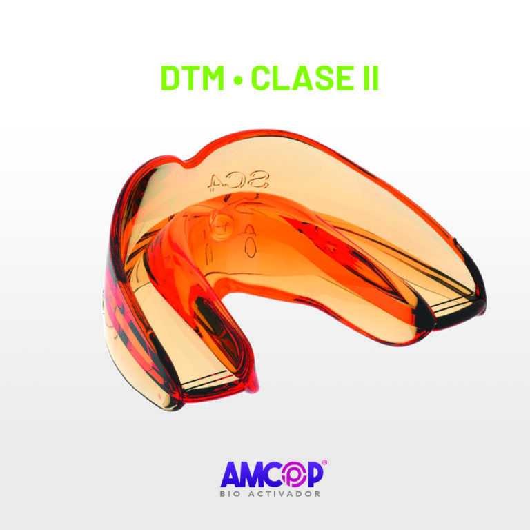 Box DTM Clase II
